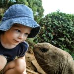 Schildkröten – ein beliebtes Haustier für Kinder